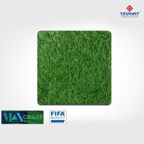 Co-nhan-tao-m23-pro-2