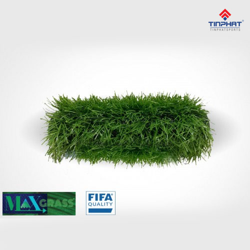 Co-nhan-tao-m23-pro-3